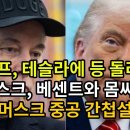 트럼프 와 일런 머스크 신경전(너튜브 펌) 이미지