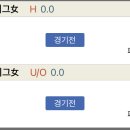 코하마 이미지