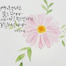 수채화캘리그라피 이미지