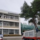속초시청 | 속초시청주차안내 속초무료주차장추천 속초주말개방주차장 속초시장근처주차장 속초시청안내