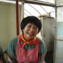 순금농장 이미지