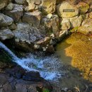 양평농협하나로마트(옥천점) 이미지