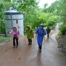 지리산, 아직도 울고 있구나 - 지리산 촛대봉 산행기 이미지