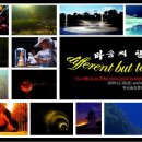 솜리문화예술회관 이미지