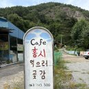 홍시먹으러곶감 이미지