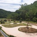 수변1공원 이미지