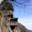 지리산매화네