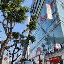 복현순치과의원 이미지