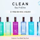 더클린라이프 티스토리