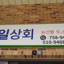 신일상회 이미지