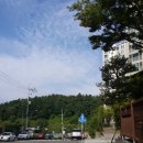 평지해장국 이미지