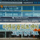 물빛동물병원 | 24시 리엔동물의료센터 | 고양이 천식 치료, 건강검진 후기