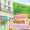 씨엘어린이집 이미지