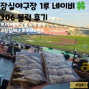 306 | ⚾️잠실야구장 1루 네이비석 306블럭 2열 시야 후기 / 네렌지석 잠실새내 파오파오만두