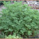 부귀농장 이미지