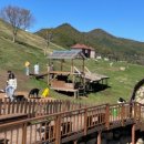 청춘목장 이미지