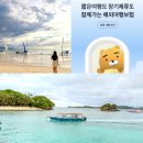 동반자 | 해외여행 여행자보험 카카오페이 가입 동반자 할인 환급 후기