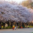 중앙체육공원 농구장 이미지