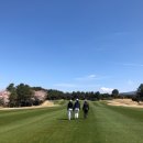 K골프아카데미 이미지