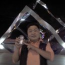 대공원대로, 대공원광장대로 이미지