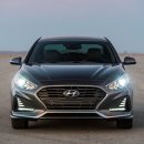 라이즈번 이미지