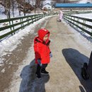 태성목장2 이미지