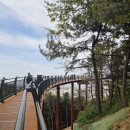 인천만수6동우체국 화장실 | 인천 수봉공원 스카이워크｜꽃 흩날리는 포토존 산책 코스 (주차·화장실·통일관 후기)