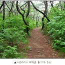 약수골