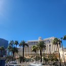 하이롤러 | [미국여행]04. 라스베가스 스트립 &amp;하이롤러 대관람차