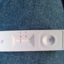 천동초등학교 후문 이미지