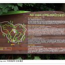 제주 납읍리 난대림 이미지