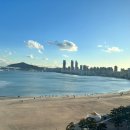 테라스타 이미지