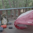 거제자연휴양림 이미지