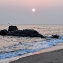 왕피천공원(동쪽) 이미지