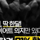 하이프(HIFE) 이미지
