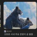 온다메