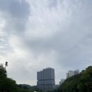 명랑도그 | 수원CC 수원컨트리클럽 구코스 후기 봄 라운딩 명랑골프~ 신코스 / 구코스 비교, 보이스캐디엑스 거리...