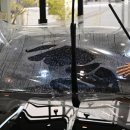 넥스트신소재 네이버블로그