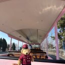 21C동강민박펜션 | 친절한 대련(다롄) DALIAN, 大连市 : 대련시티투어 원데이투어1 (마이리얼트립 대련투와로, 단독2인...