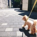 포천 문밸리 이미지