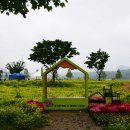 한강시민공원 이미지