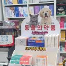 생생온누리약국 이미지