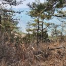 태신부동산 공인중개사사무소 이미지