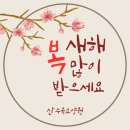 태인약국 | 수완지구요양원, 새해 복 많이 받으세요!