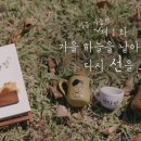텍사스주유소