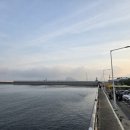 틸다그린부산