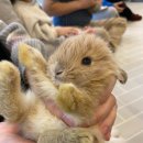 마리앤쥬 이미지