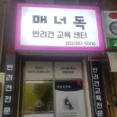 매너독반려견교육센터 네이버블로그