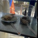 책먹는미술관미술학원 | 포항 장성동 책먹는미술관 미술학원 “ 아이의 상상이 예술이 되는 곳 ”