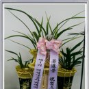 달마축산 이미지